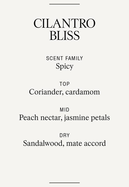 H&M - Small scented candle in glass holder - cilantro bliss