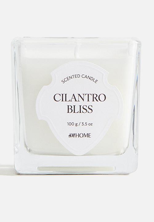 H&M - Small scented candle in glass holder - cilantro bliss