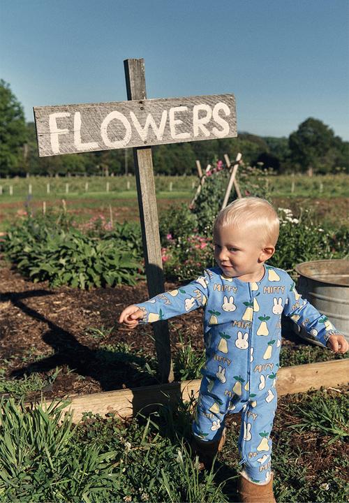 Cotton On - The Long Sleeve Zip Romper License - Lcn Mif Blue Bonnet/Miffy Pears