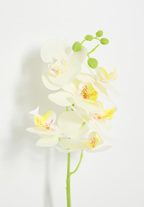 H&S - Artificial orchid plant - white