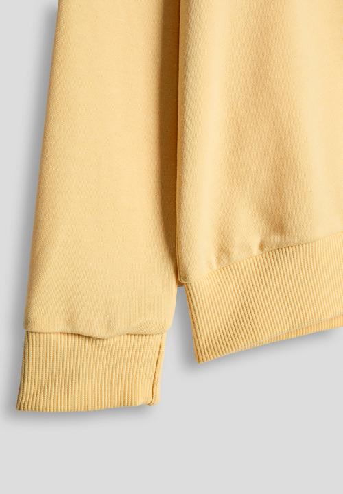 Pop Candy - Lion embroidered placement print sweat top - corn yellow