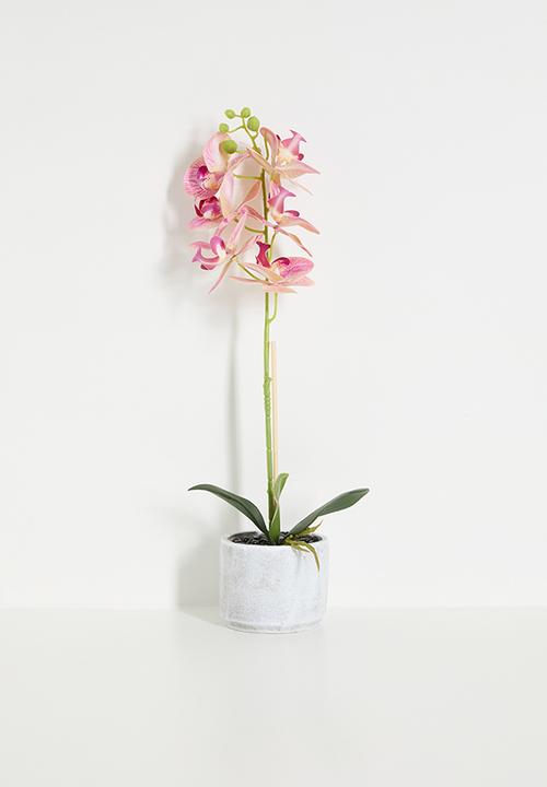 Artificial orchid plant - purple