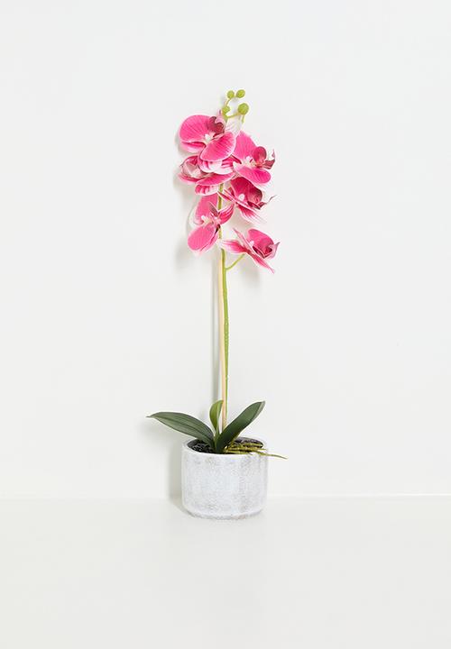 Artificial orchid plant - pink