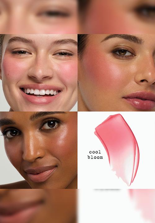 Stila - Convertible Color™ Nourishing Liqua-Tint - Cool Bloom