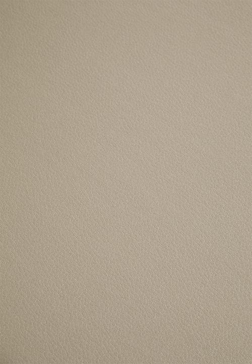 Sixth Floor - Luke Dining Chair Set Of 2 - Taupe