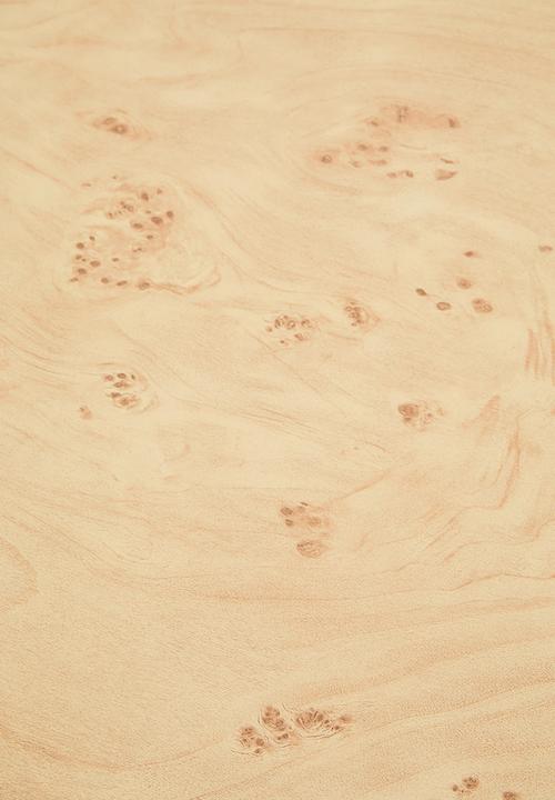 Sixth Floor - Burl Coffee Table - Natural 