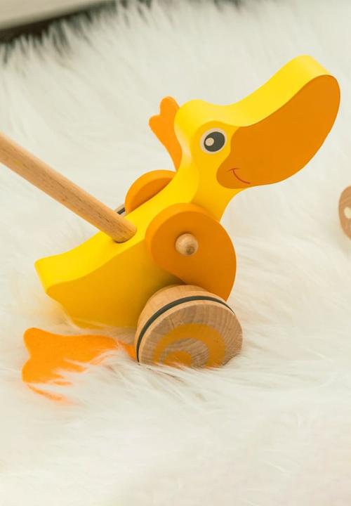 Greenbean Learning - Pull & Push Toy - Duck