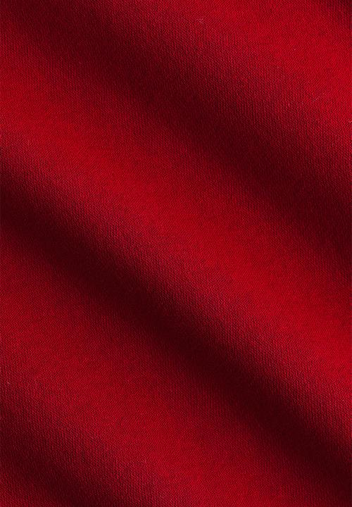 H&M - Zip-through hoodie - dark red/academia