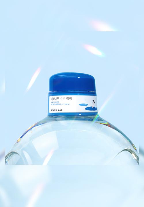 Round Lab - Round Lab Birch Juice Moisturizing Lip Balm