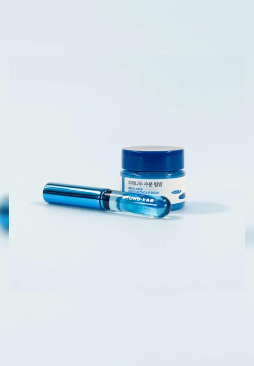 Round Lab - Round Lab Birch Juice Moisturizing Lip Balm Set(+Brush) - 20ml