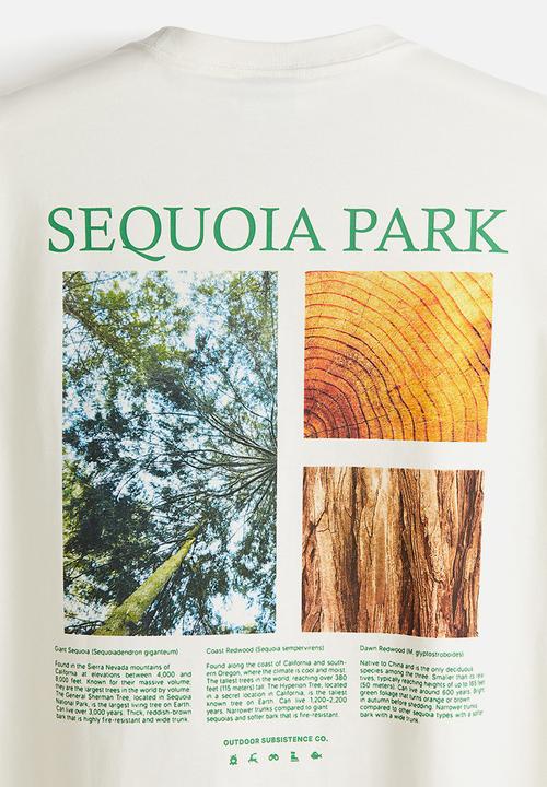 H&M - Loose fit printed T-shirt - white/sequoia park