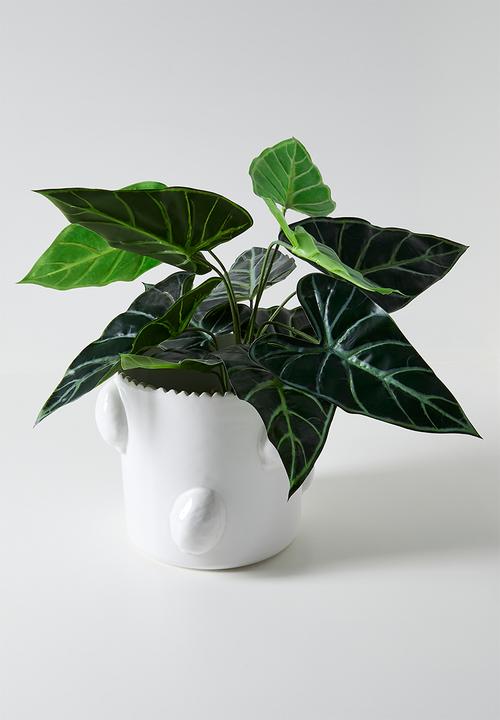 Urchin Art - Lemon Vase - White