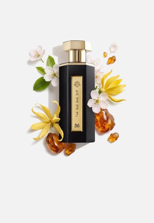 Reef Fragrances - Reef 36 Edp - 100ml