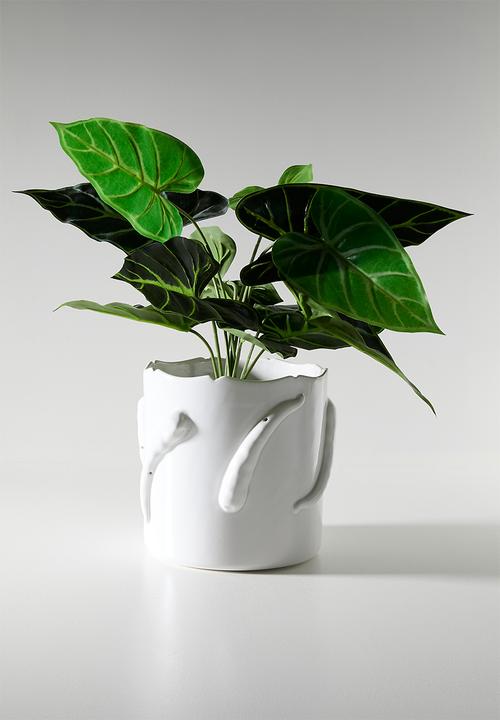 Urchin Art - Chilly Vase - White