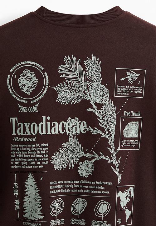 H&M - Loose fit printed sweatshirt - dark brown/taxodiaceae