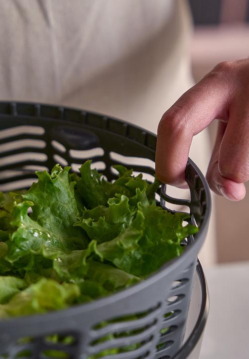 Zyliss - Zyliss Swift Dry Salad Spinner Small