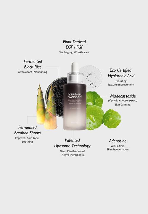 haruharu wonder - Black Rice Hyaluronic Botanical 2GF Wonderful Ampoule