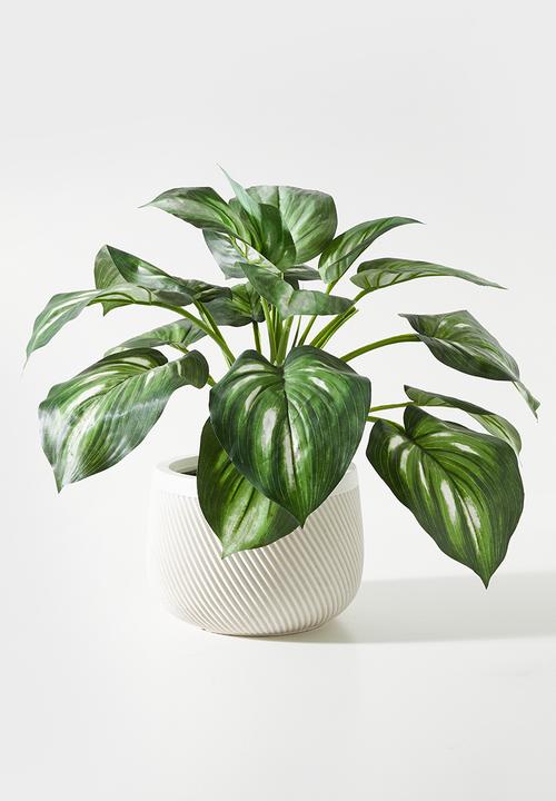 Sixth Floor - Diag Outdoor/Indoor Fiberclay planter - Natural