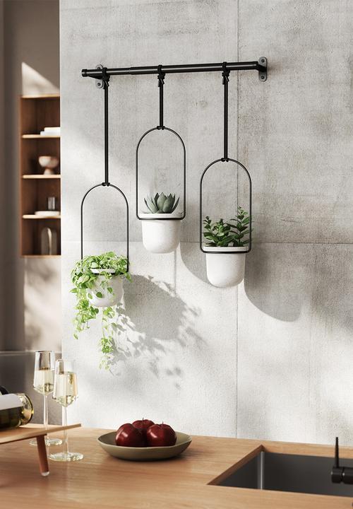 Umbra - Triflora Hanging Planter - White