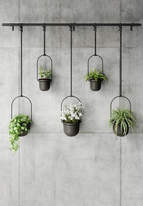 Umbra - Triflora 5 Large - Black