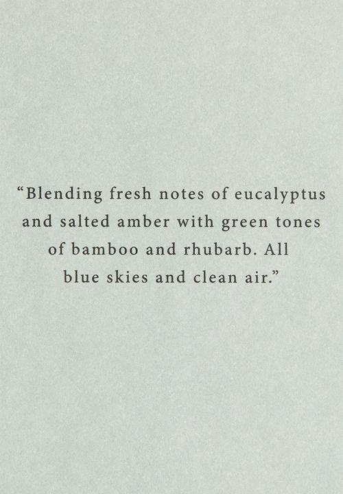 H&M - Scented candle in a glass holder - eucalyptus mist