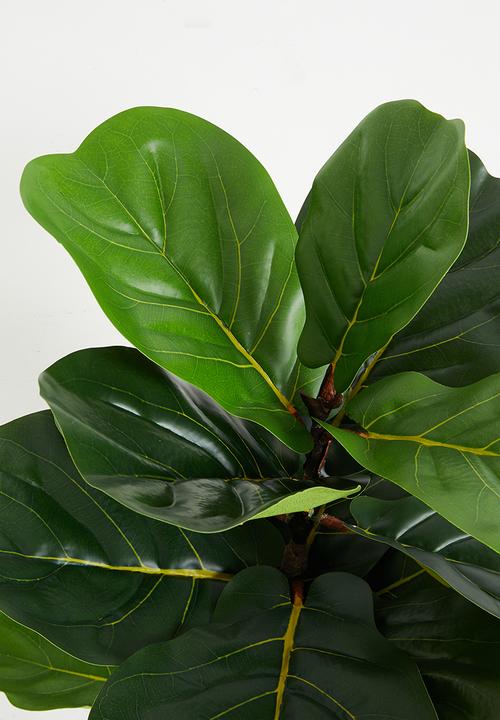 Silk By Design - Fiddle Leaf Tree - green