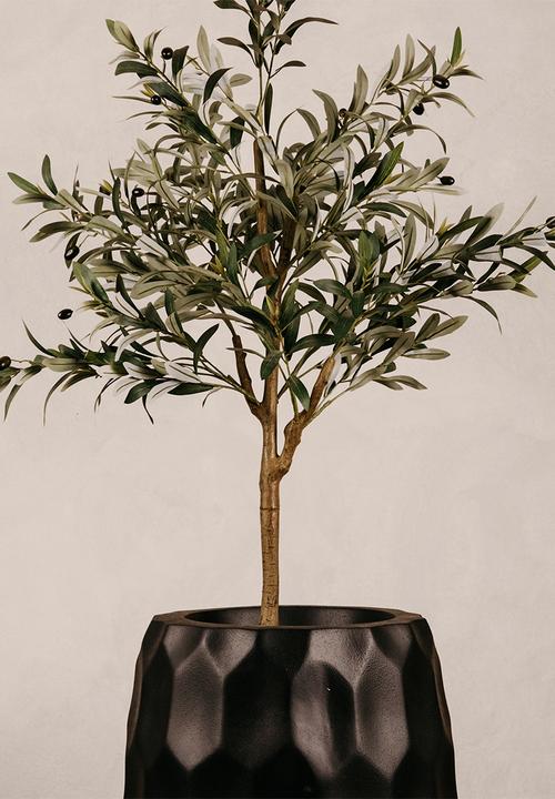 Noha - Amatola Planter Large