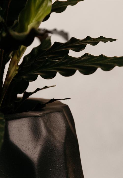 Noha - Amatola Planter Small