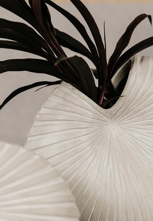 Noha - Spirula Vase Set Of 3