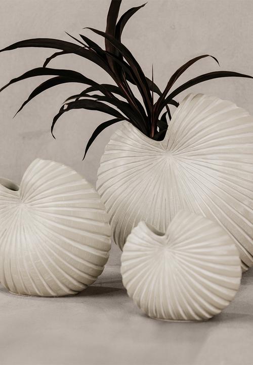 Noha - Spirula Vase Set Of 3