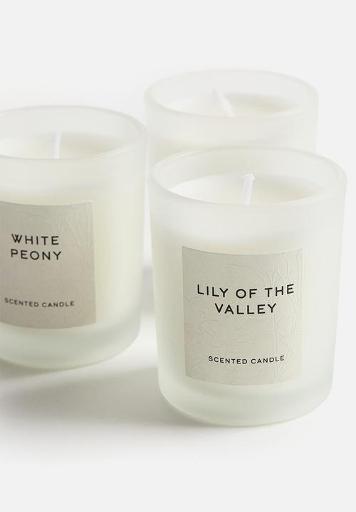 H&M - Gift-boxed 3-pack scented candles - botanical garden