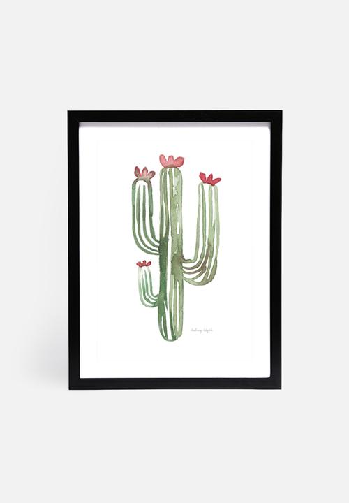 Stohne - Cactus cacti