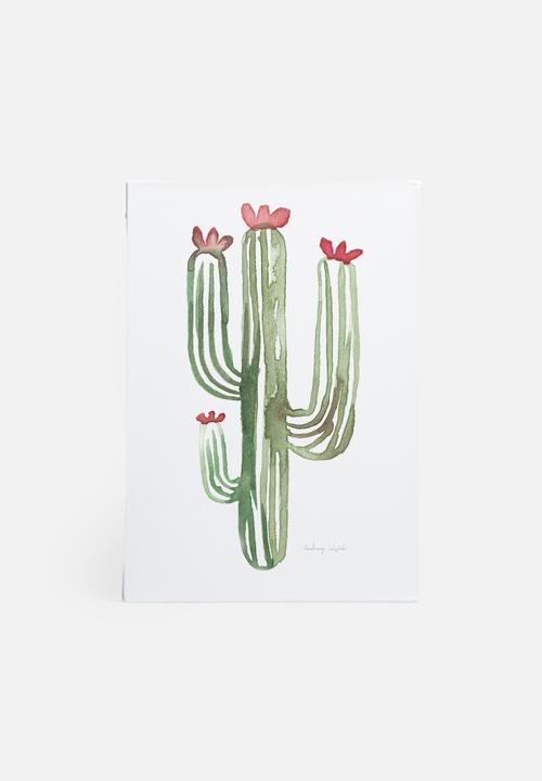 Stohne - Cactus cacti