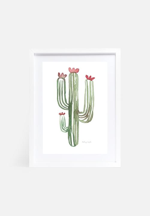 Stohne - Cactus cacti