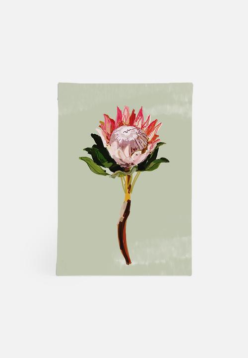 Sarah Allderman - Protea 1