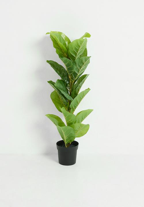 H&S - Artificial fiddle in pot - Green