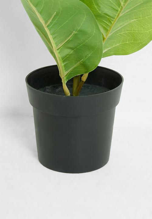 H&S - Artificial fiddle in pot - Green