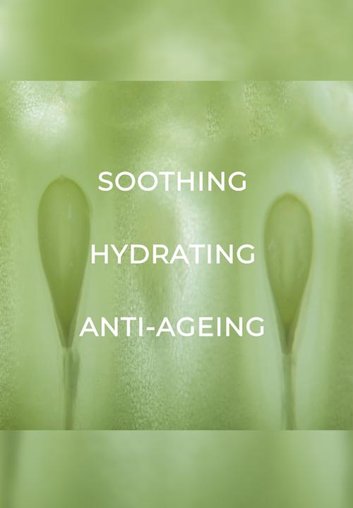 Standard Beauty - Aloe & Cucumber Toner with Niacinamide for Sensitive Skin