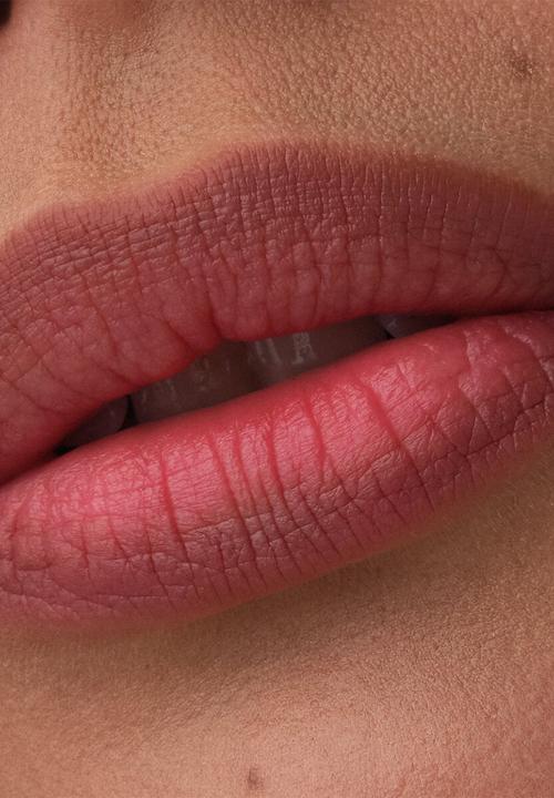 Catrice - Blur-Real Lip Shaper - 050 Fleek