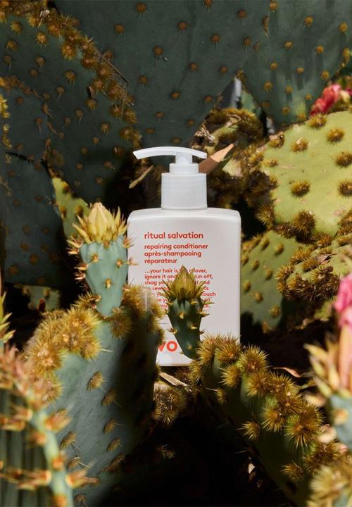 EVO - Ritual Salve Repairing Conditioner - 300ml