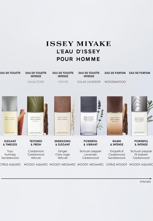 Issey Miyake - Issey Miyake L'Eau d'Issey Pour Homme Edp - 125ml