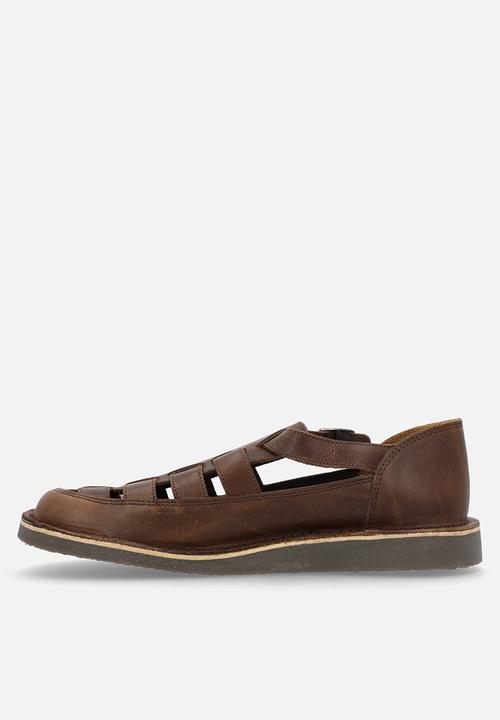 Grasshoppers - Crixus gladiator - oatmeal 