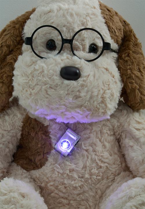 Pop Candy - Supersoft pup plushie - beige/brown