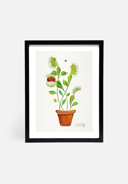 Cat Coquillette - Venus fly trap
