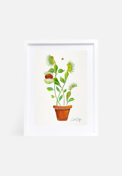 Cat Coquillette - Venus fly trap