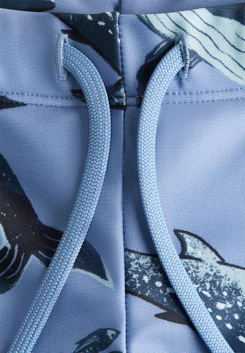 H&M - Printed swimming trunks - blue/whales