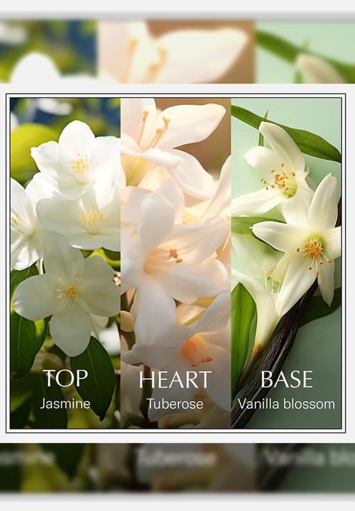 Chanson d'Eau - Chanson d'Eau Les Eaux du Monde Jasmine For Women Edt - 100ml