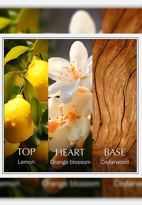 Chanson d'Eau - Chanson d'Eau Les Eaux du Monde Lemon Women Edt - 100ml