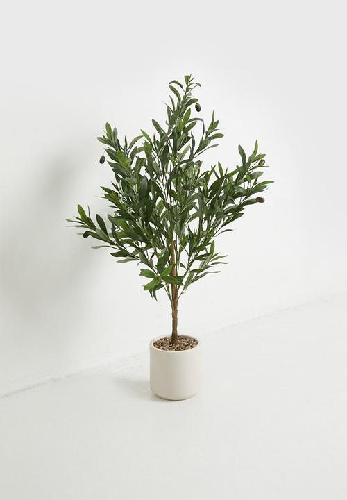 Sixth Floor - Olive Tree Artificial Plant 90cm