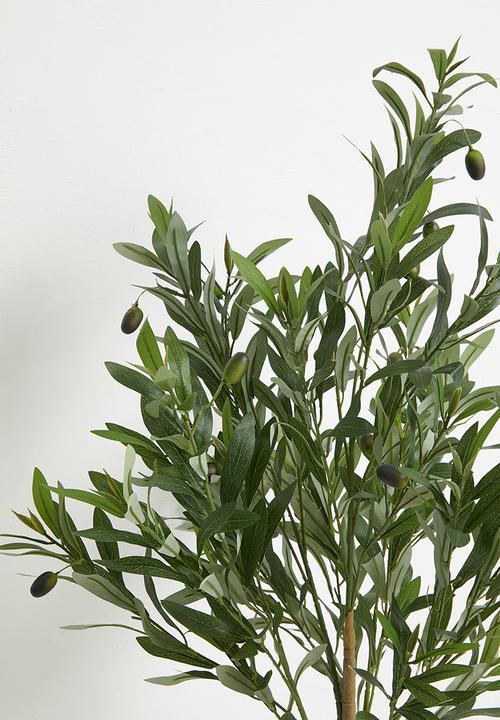 Sixth Floor - Olive Tree Artificial Plant 90cm